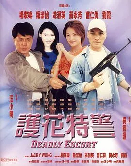 匆匆的青春